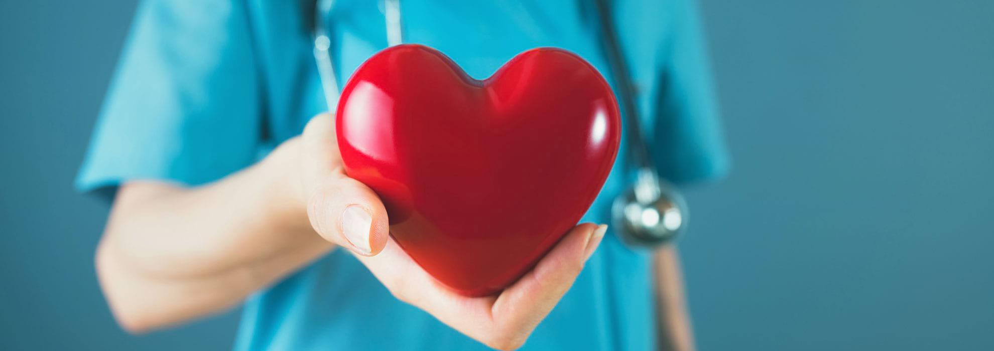 Doctor holding a symbolism of a heart.